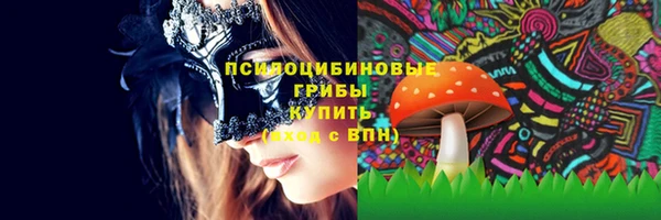 apvp Кукмор