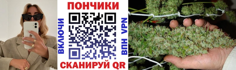 Каннабис MAZAR Медвежьегорск